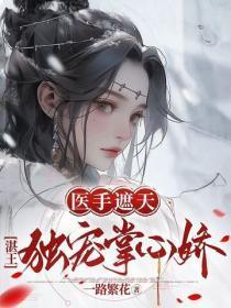 医手遮天,湛王独宠掌心娇