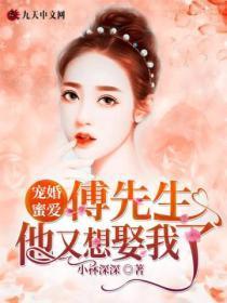 宠婚蜜爱:傅先生他又想娶我了!